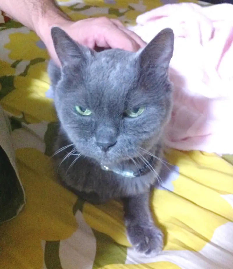 人前で泣きたくない、でも泣いちゃう…