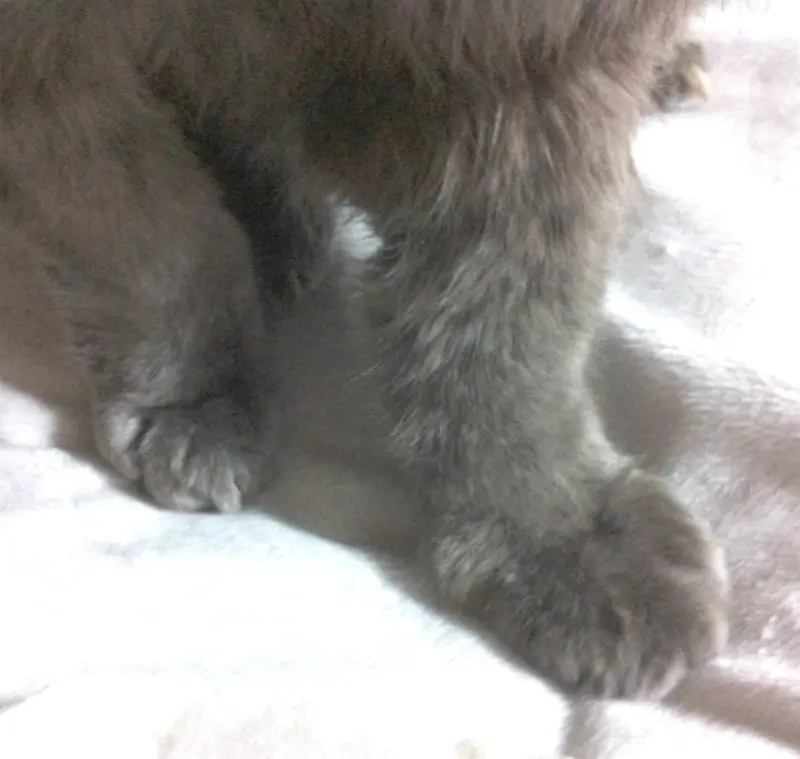 点滴残り一本勝負【もみもみ対シャカシャカ】の熱いバトル