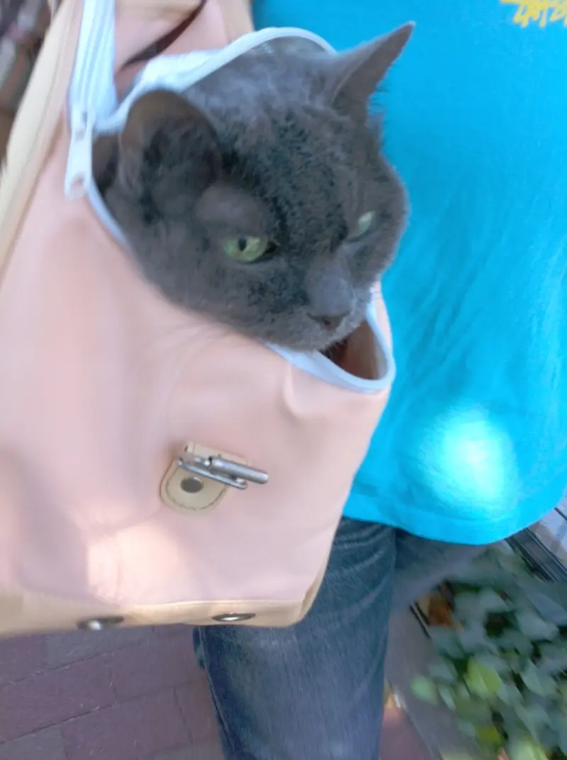 タクシーと人力車と飛脚の話