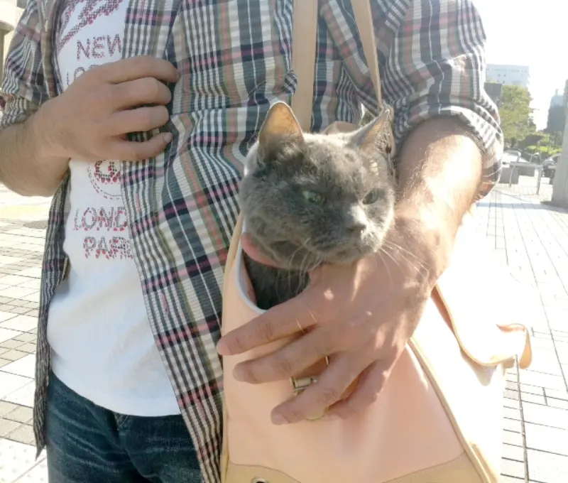 悪いところで現状維持しちゃってる？〜5回目の血液検査の結果