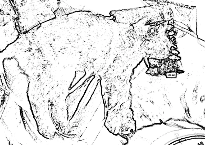 向きを変えてくれる直前のワタシ、点滴の残りが4本の手足にあって、体とのバランスが不自然なくらいに巨大化してる。