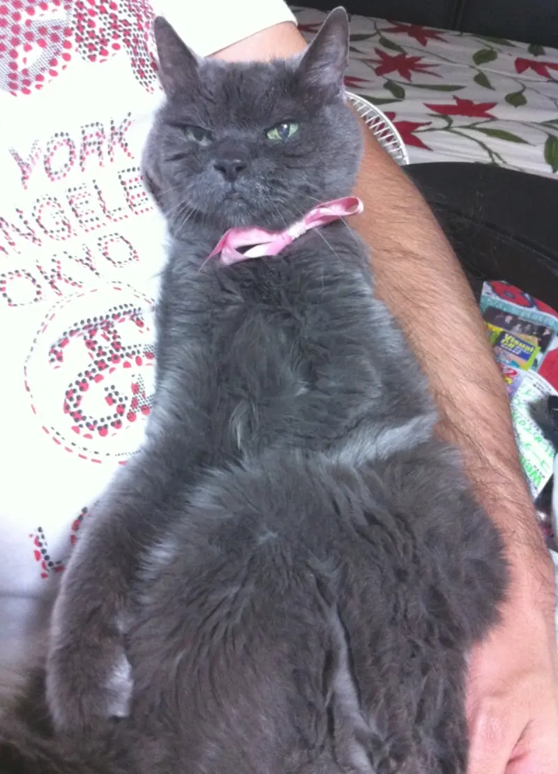 ブログ作者近影~(=^‥^)