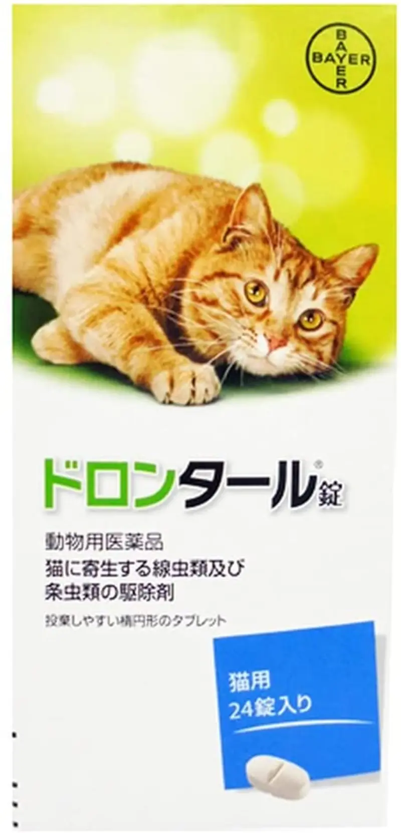 猫が瓜実条虫に感染してた…