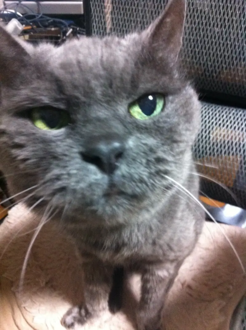 ワタシのマミが些細なことで一喜一憂してウザいんだけど(笑)