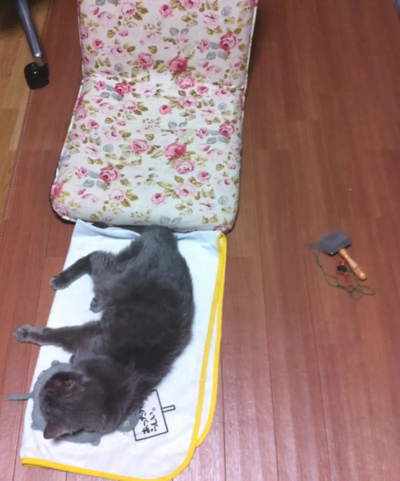 ワタシのスペース（夏編）