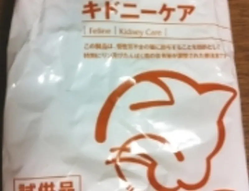 腎不全の猫がご飯を食べてくれない時…
