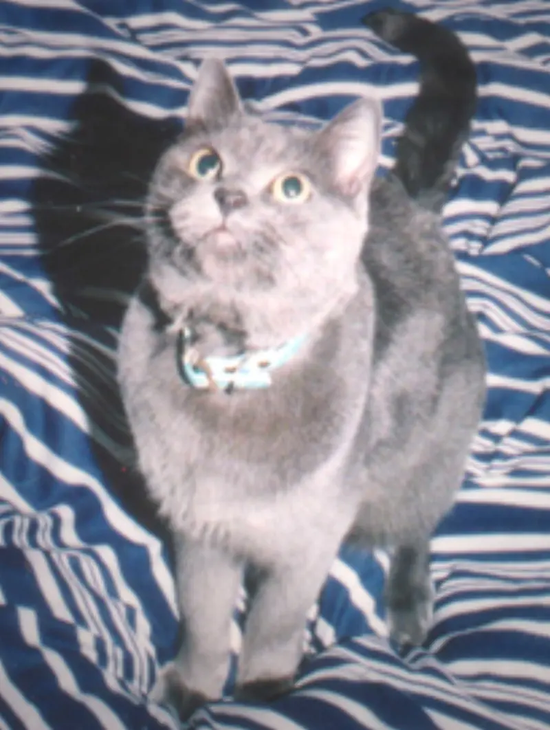 スナック「まる」開店しましたヾ(=ﾟ･ﾟ=)ﾉ