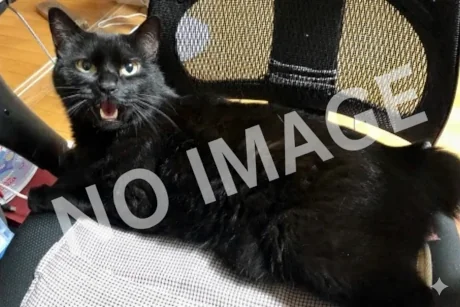 小さいころはマミに「ブス、ブス」って言われてたニャ…